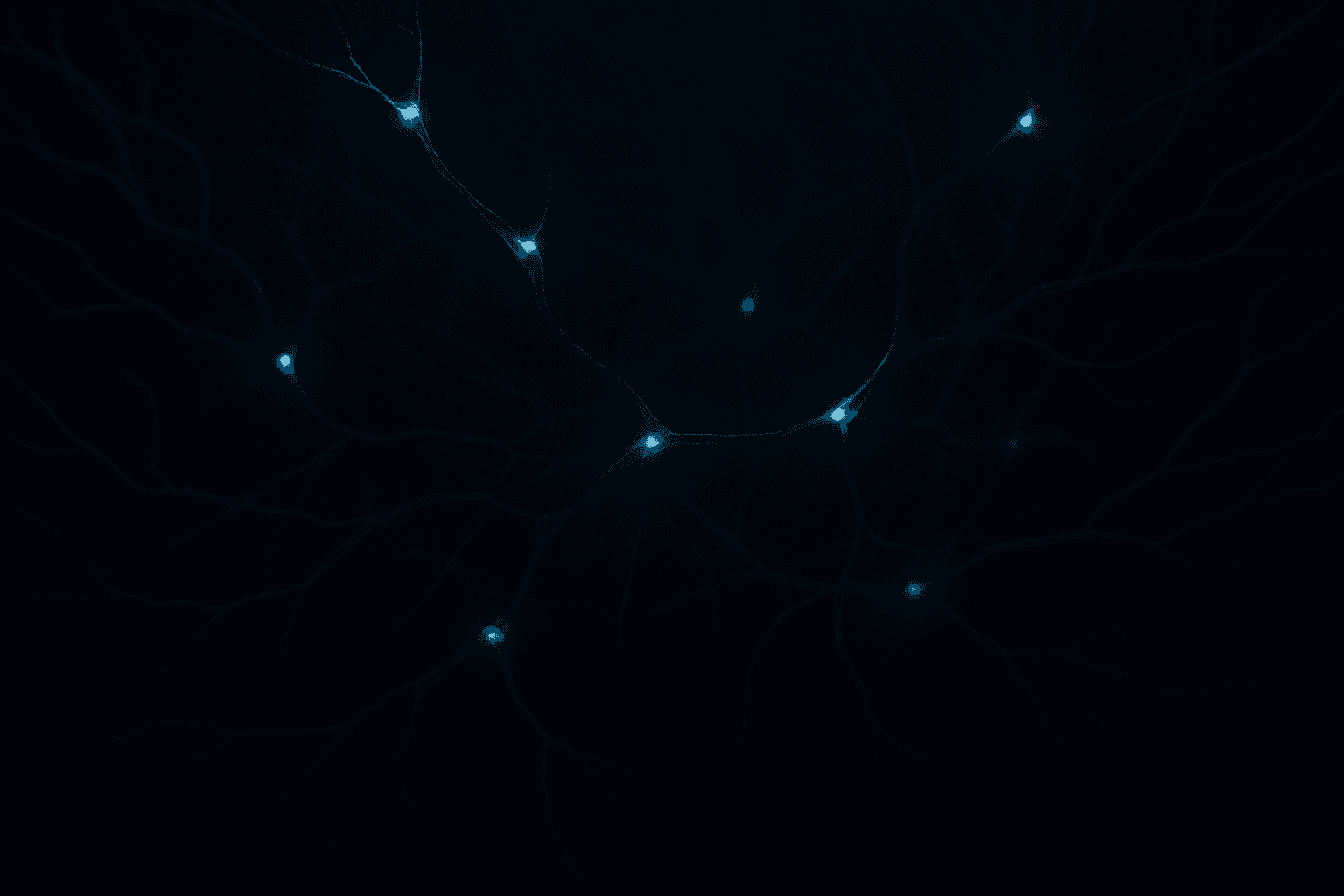 VascularSim — RL simulation for microrobot navigation